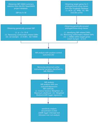 The causal relationship between antihypertensive drugs and depression: a Mendelian randomization study of drug targets